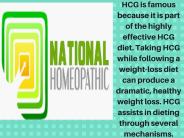Best Hcg Drops