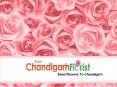 Send Flowers to Chandigarh (1)