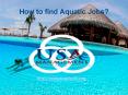 How to find Aquatic Jobs? PowerPoint PPT Presentation
