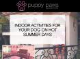 Indoor Activities For your Dog On Hot Summer Days PowerPoint PPT Presentation