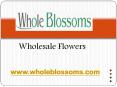 Wholesale Flowers - wholeblossoms (3) PowerPoint PPT Presentation