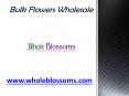 Bulk Flowers Wholesale - www.wholeblossoms.com (1) PowerPoint PPT Presentation