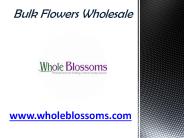 Bulk Flowers Wholesale - www.wholeblossoms.com (1)