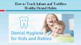 How to Teach Infants and Toddlers Healthy Dental Habits PowerPoint PPT Presentation