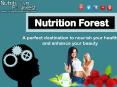Pomegranate Extract - Nutrition Forest (1) PowerPoint PPT Presentation