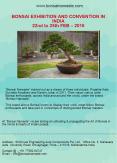 Bonsai Exhibition India PowerPoint PPT Presentation