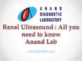 Renal Ultrasound: All you need to know PowerPoint PPT Presentation
