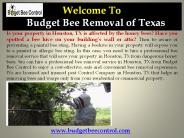 Houston bee removal service