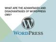 What are the advantages and disadvantages of wordpress PowerPoint PPT Presentation