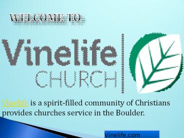 Vinelife Church