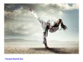 Pinnacle Martial Arts PowerPoint PPT Presentation