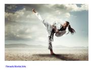Pinnacle Martial Arts