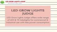 Best Led Grow Light For Home