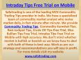 Commodity Sureshot Tips | Intraday Tips Free Trial on Mobile Call @ +91-9205917204 PowerPoint PPT Presentation