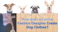 Things Consider By Canine Fashion Designer For Dog Clothes PowerPoint PPT Presentation