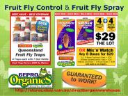 Best Fruit Fly Control