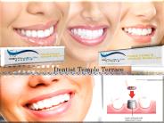 Dentist Temple Terrace