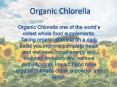 Whole Food Supplements Organic Chlorella PowerPoint PPT Presentation