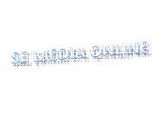 Web Designing Company India (2)