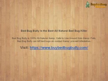 Bed Bug Bully is the Best All Natural Bed Bug Killer