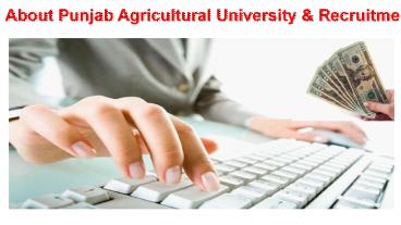 About Punjab Agricultural University & Recruitment