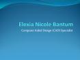 Elexia Bantum - Computer Aided Design, Architectural Drafting PowerPoint PPT Presentation