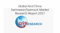 Global And China Swimwear/Swimsuit Market Research Report 2017 PowerPoint PPT Presentation
