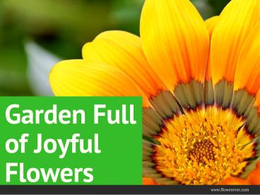 Garden Full of Joyful Flowers