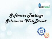 selenium training in Bangalore (28)