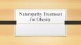Naturopathy Treatment For Weight Loss PowerPoint PPT Presentation