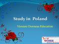 Study in Poland with Viswam education