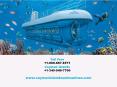 View amazing scenery under the sea in submarine at Cayman Islands. PowerPoint PPT Presentation