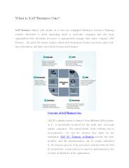 SAP B1 Online Training in Mumbai