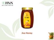 Jiva Honey