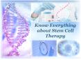 Know Everything about Stem Cell Therapy PowerPoint PPT Presentation