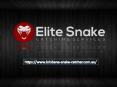 Brisbane Snake Catcher Services PowerPoint PPT Presentation
