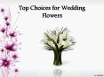 Top Choices for Wedding Flowers PowerPoint PPT Presentation