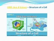CBSE class 8 Science – Structure of a Cell