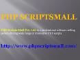 Auction Script | Penny Auction Software | Penny Auction Bidding Script PowerPoint PPT Presentation