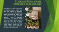 11 creative bridal shower ideas she’ll be in love with PowerPoint PPT Presentation