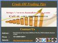MCX Positional Calls, Crude Oil Trading Tips PowerPoint PPT Presentation