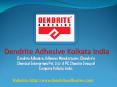 Automobile Adhesive - Dendrite Adhesive Kolkata,India PowerPoint PPT Presentation