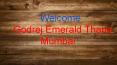 Godrej Emerald Thane Residential Project Mumbai PowerPoint PPT Presentation