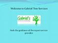 Tree Service in Sacramento and Landscape Design Los Angeles at gabrieltreeservices.com PowerPoint PPT Presentation