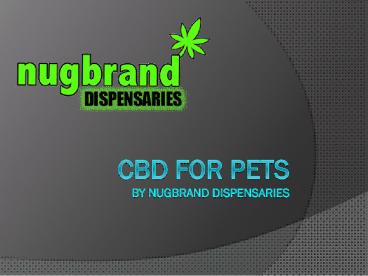 CBD for Pets