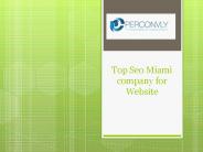 Top Seo Miami company for Website