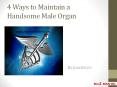 4 Ways to Maintain a Handsome Male Organ PowerPoint PPT Presentation
