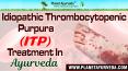 Idiopathic Thrombocytopenic Purpura (itp) Treatment in Ayurveda PowerPoint PPT Presentation