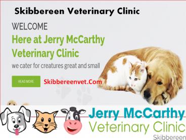 Skibbereenvet.Com - Skibbereen Veterinary Clinic