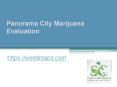 Panorama City Marijuana Evaluation - Weedmaps.com PowerPoint PPT Presentation